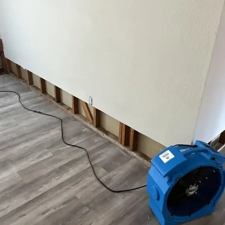 Drywall cut back above the floor while an air mover dries the open wall cavity